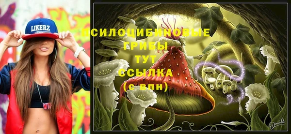СК Вяземский