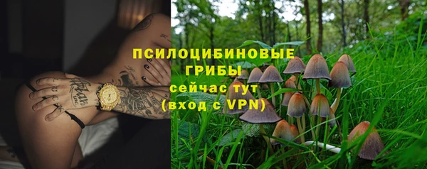 шишки Волосово