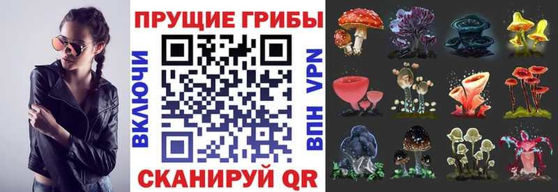 Купить  Надым  Псилоцибиновые грибы MAGIC MUSHROOMS 